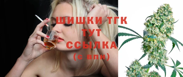 стаф Богородицк