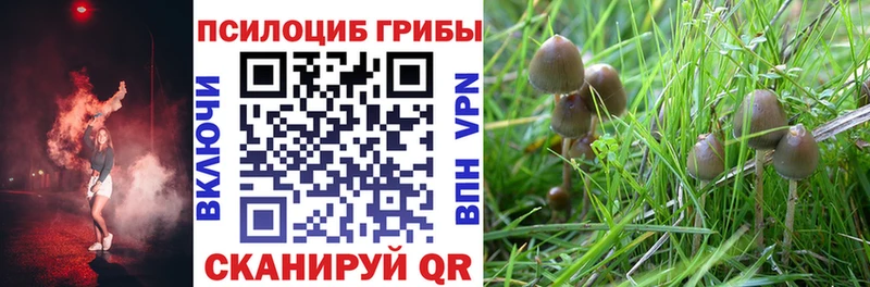 Галлюциногенные грибы MAGIC MUSHROOMS Отрадная